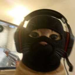 VLADISLAW77