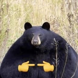 PRESSWKEYPLS