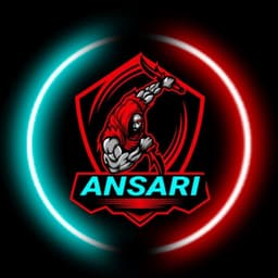 Ansariiii