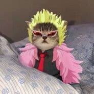 OWDouG