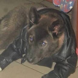 Raorecf