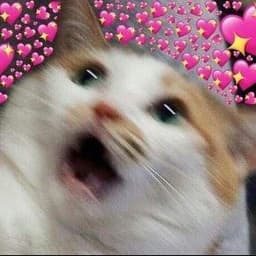 ilyasssas