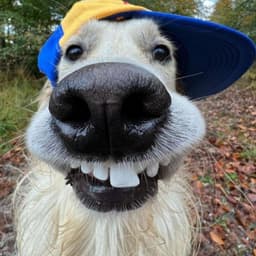 ArzzzzzI