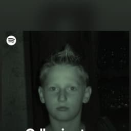 FALISZEK