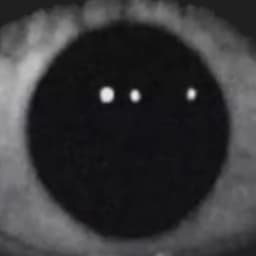 v1binn