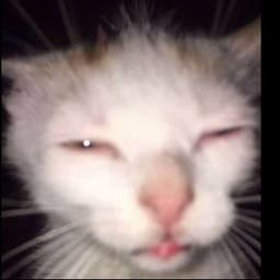 Wend1g0