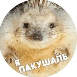 ShuTimpk