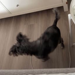 Flygar1