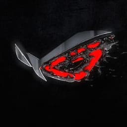 Yq7d