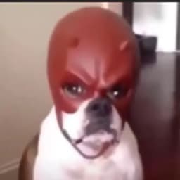 IWFJOSB