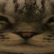 dxrknxssn