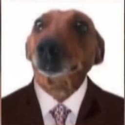 PimP_1