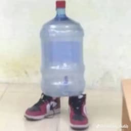 Rooyzen