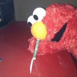 stolbb