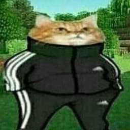 T_m_s___