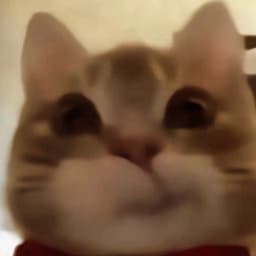 s1klem4_