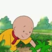 WeedNotFound