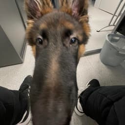 KAT_RAKSO