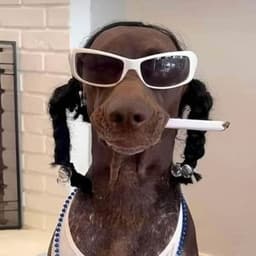 D_oudoubleGG