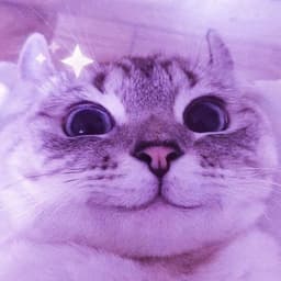 I_not_cola