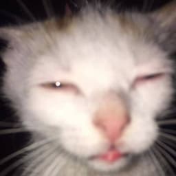 Levtim