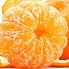 Kormolartesi