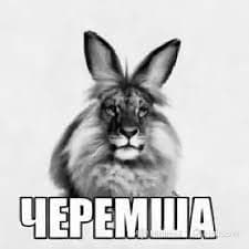 XTO_TOKOQ