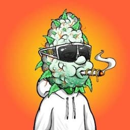 Blaze_buddy