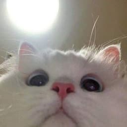 FPS_ONYX