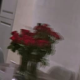 Mm99_