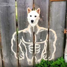 Cyber_Doggo