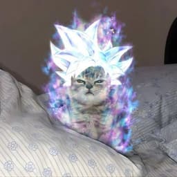 Kas0ku
