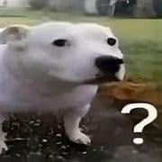 kralsniperyo