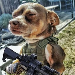 _DogMan_