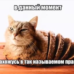 zxcdesy