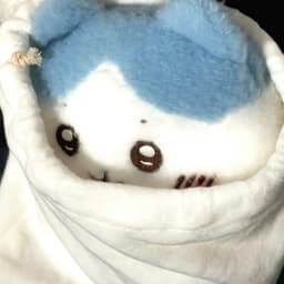 KTs1eepy