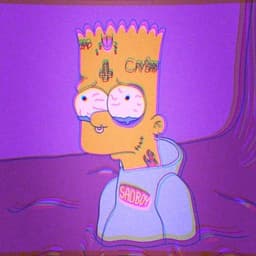 hmPT_TROLLER