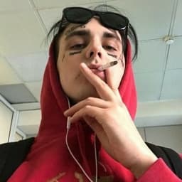 DanekPerm