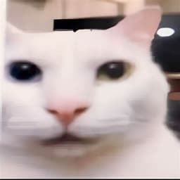 lord_devid13
