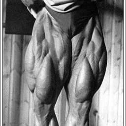 LegdayPeek