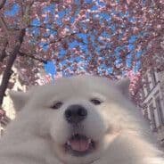 Qu1nnnn_
