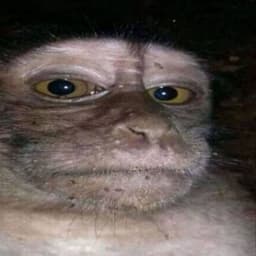 treezysober