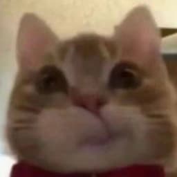 ddddd7777