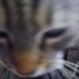 TomTuga