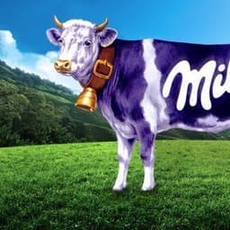 Milka80