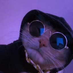 Snaparoo