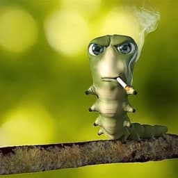 drvmer