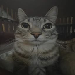 Ruci0_