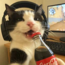c0m4tozze