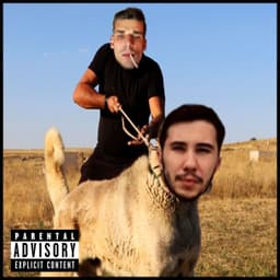 SeXginStpd
